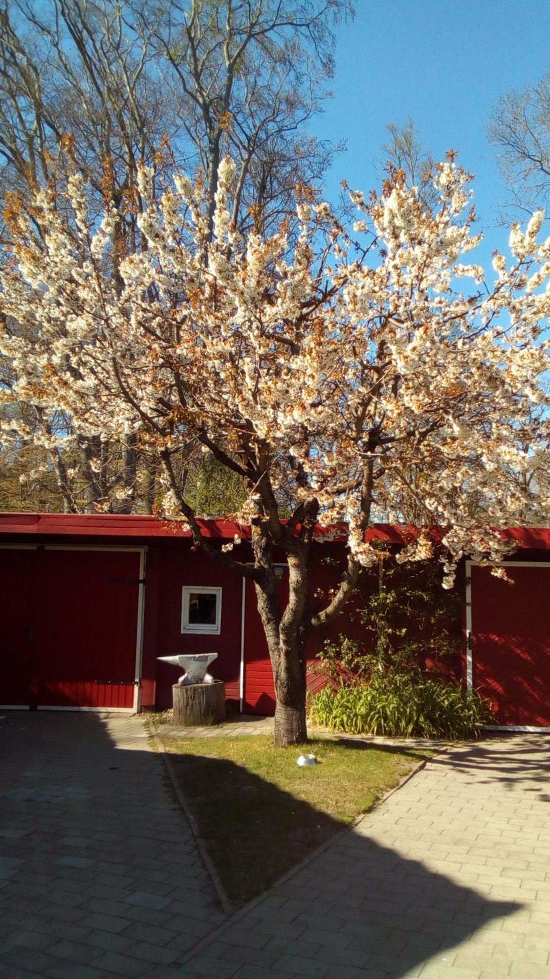 Ferienhaus in Seenähe Petersdorf  Exterior foto